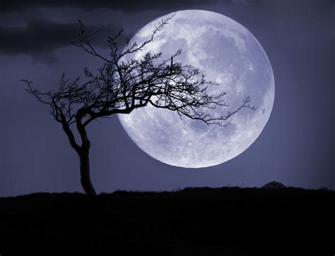 Magical full moon